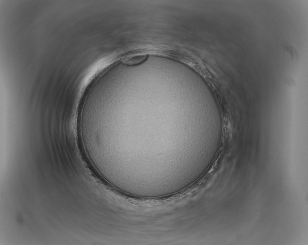 X0000115180006200911121811