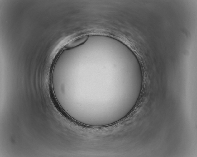 X0000115180007200911121811