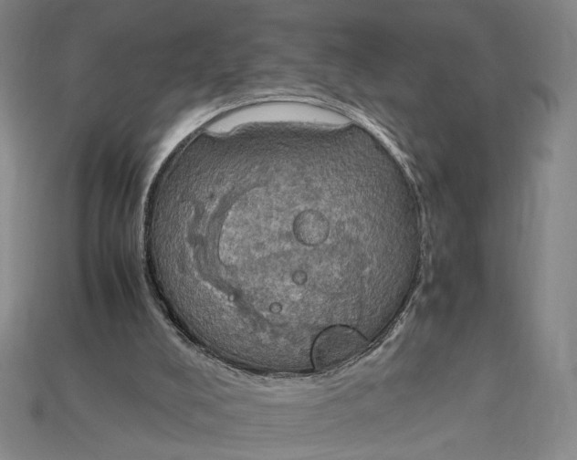 X0000115180008200911121811