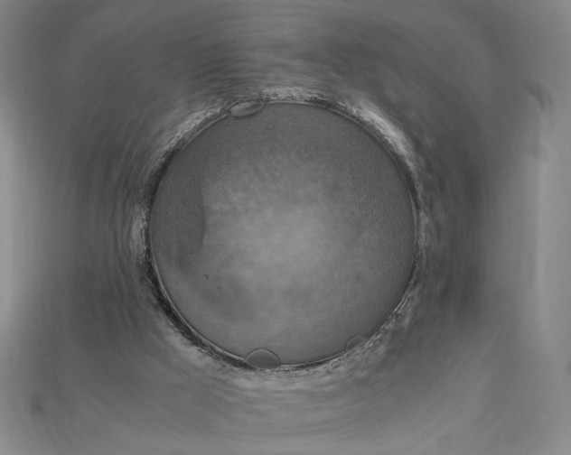 X0000115180009200911121811