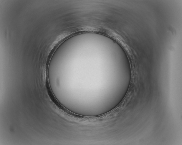 X0000115180011200911121811
