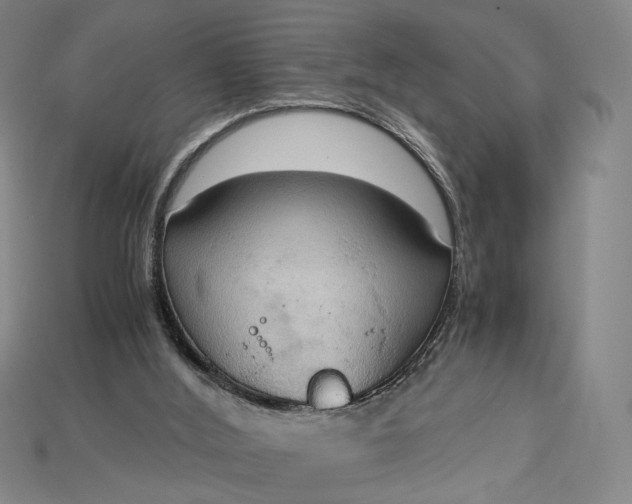X0000115180012200911121811