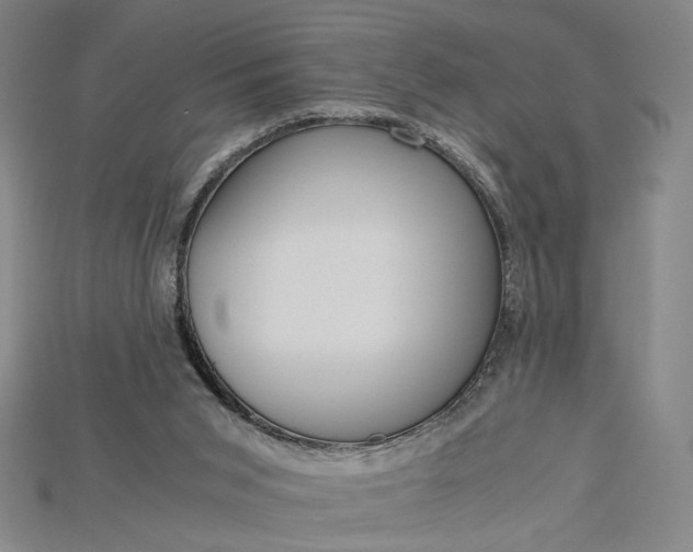 X0000115180015200911121811