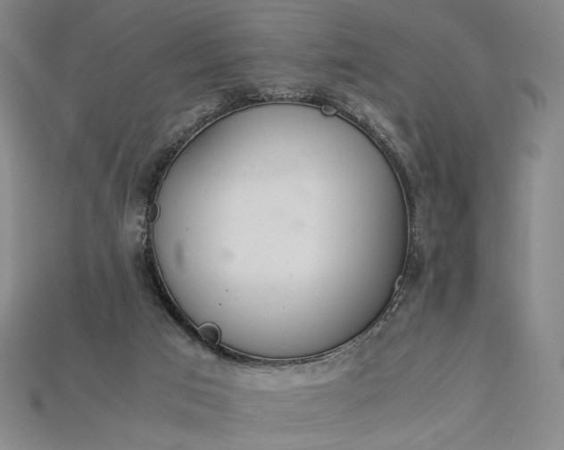X0000115180017200911121811