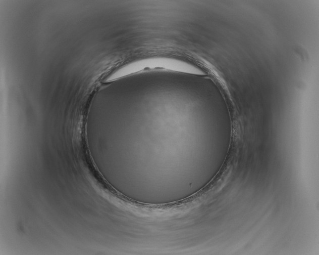 X0000115180018200911121811