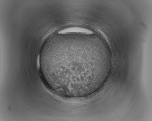 X0000115180020200911121811