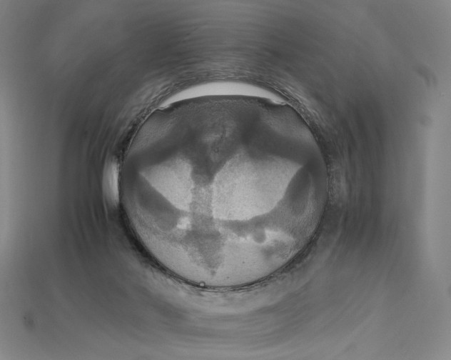 X0000115180022200911121811