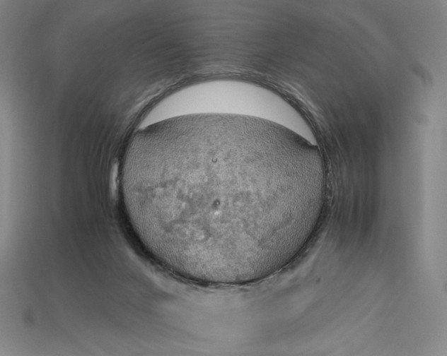 X0000115180024200911121811