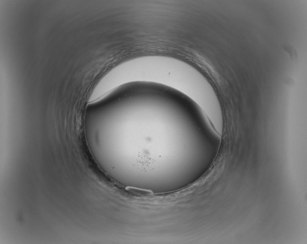 X0000115180025200911121811