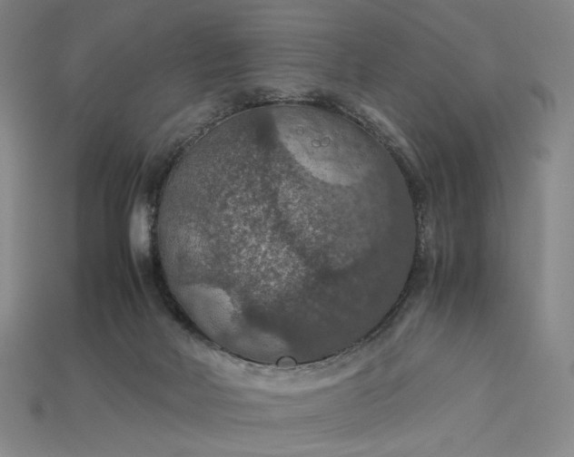 X0000115180026200911121811