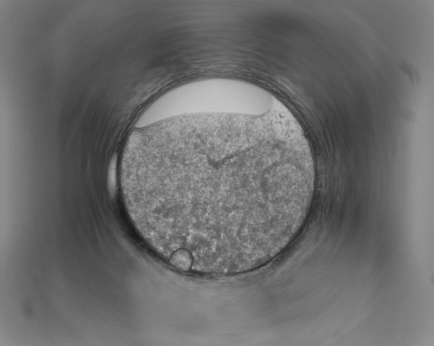 X0000115180028200911121811
