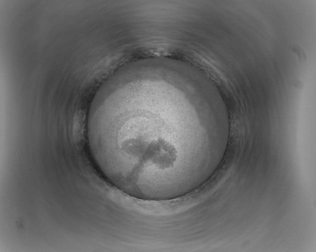X0000115180030200911121810