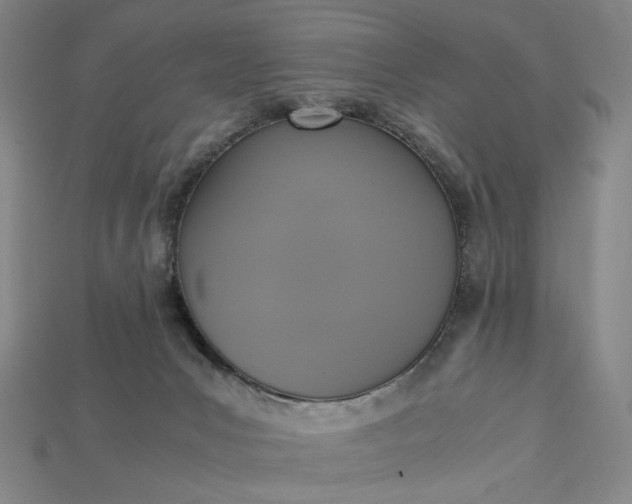 X0000115180031200911121810