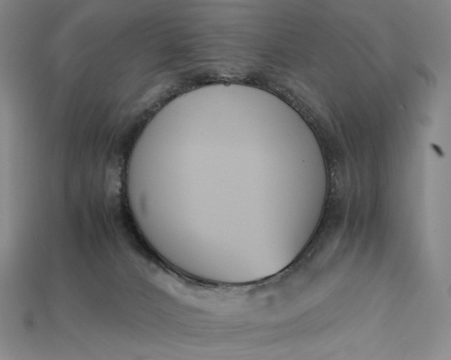 X0000115180032200911121810