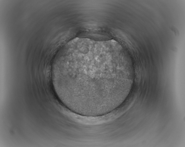 X0000115180034200911121810