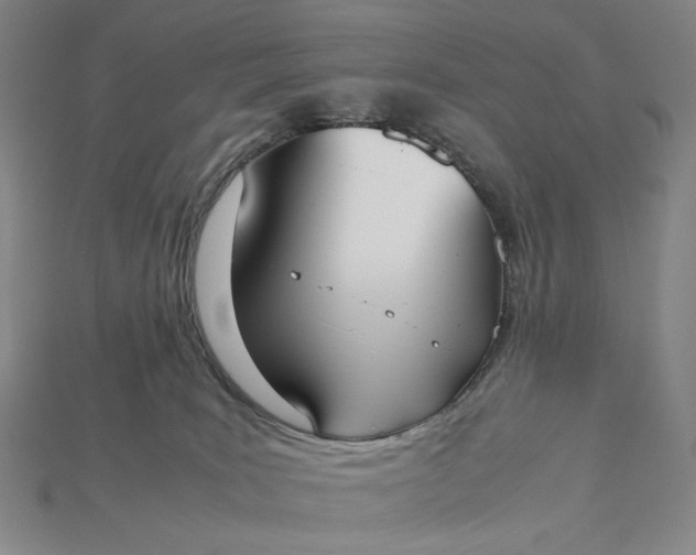 X0000115180035200911121810