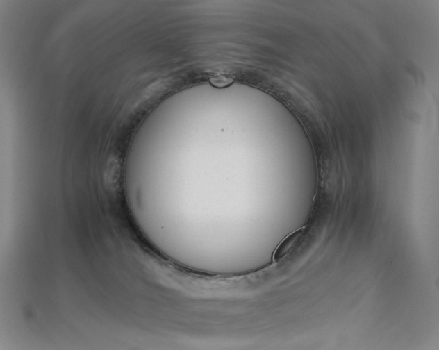 X0000115180036200911121810