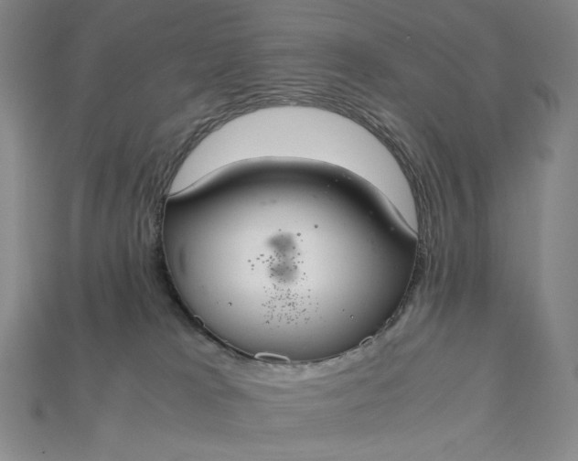 X0000115180037200911121810