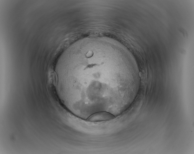 X0000115180038200911121810