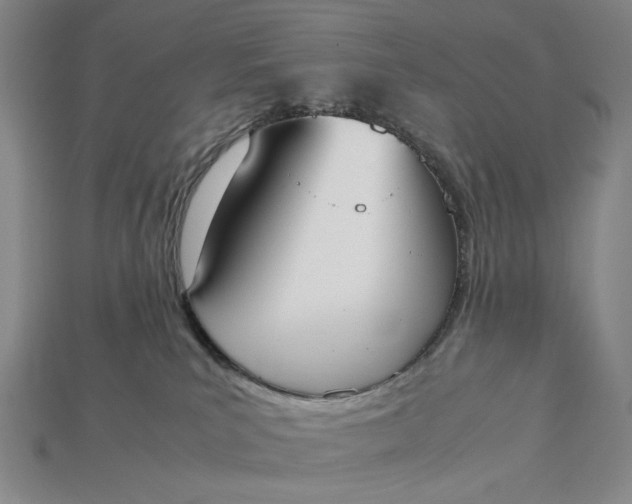 X0000115180039200911121810