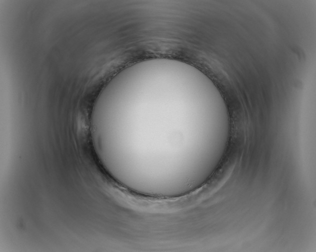 X0000115180040200911121810