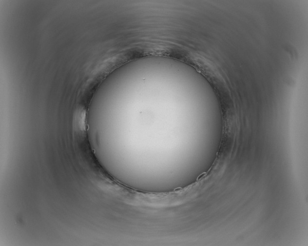 X0000115180041200911121810