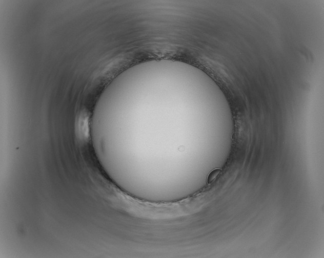 X0000115180042200911121810