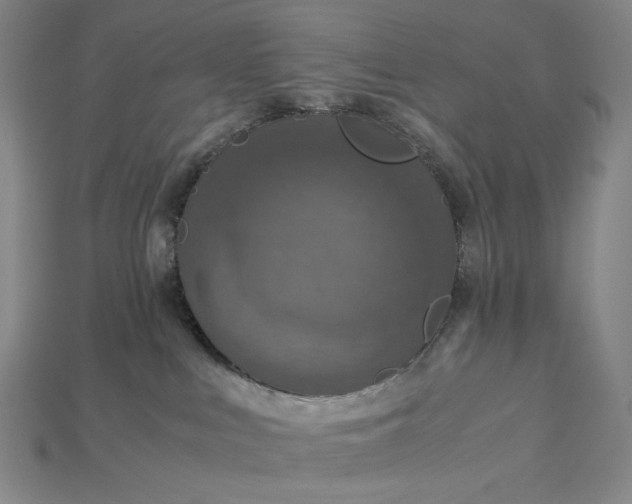 X0000115180043200911121810