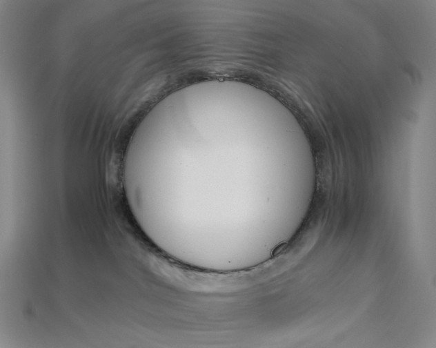 X0000115180044200911121810