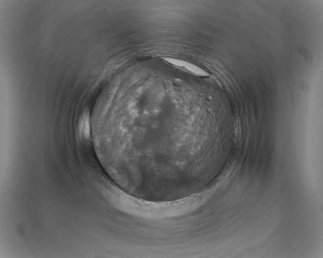 X0000115180046200911121810