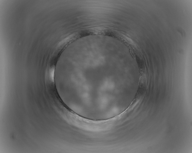 X0000115180047200911121810