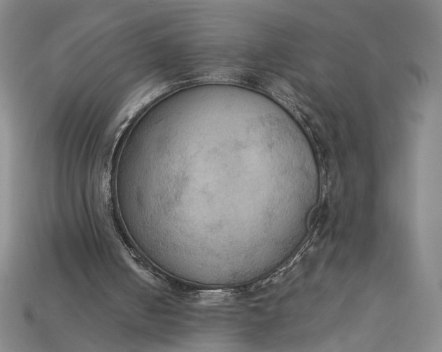 X0000115180050200911121810