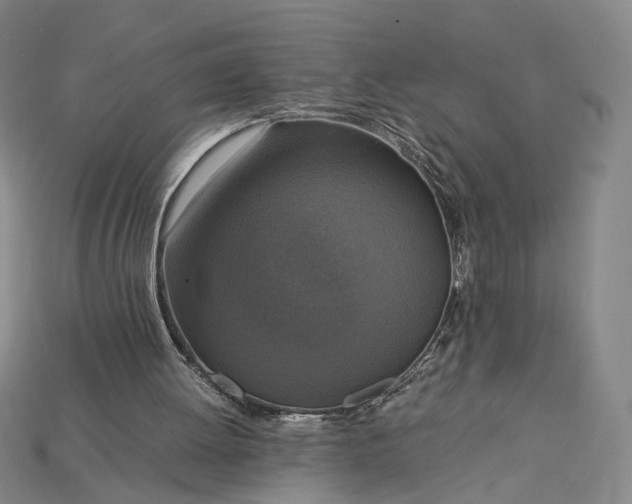X0000115180052200911121810