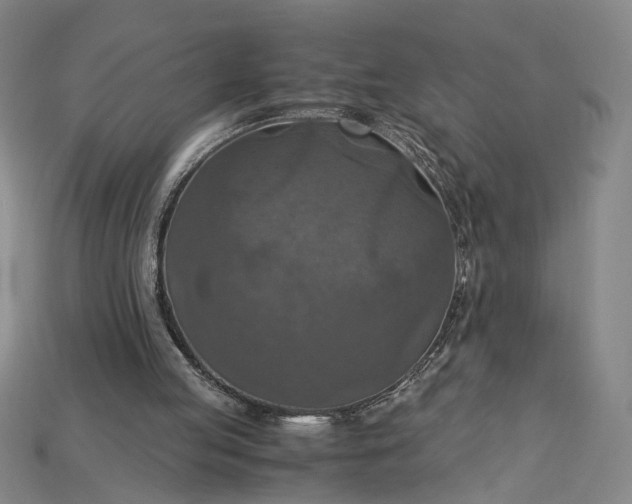 X0000115180053200911121810