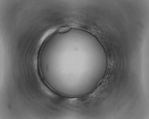 X0000115180054200911121810