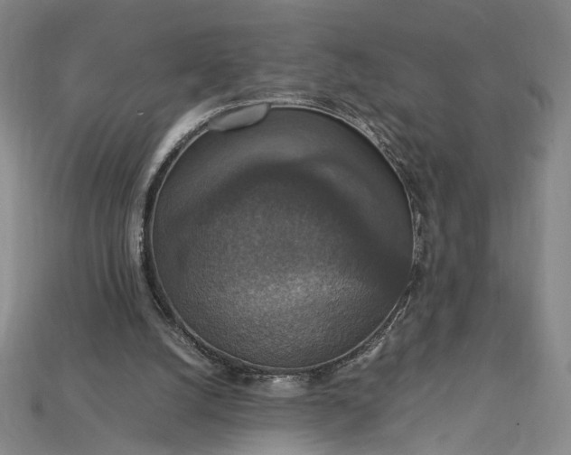 X0000115180056200911121810