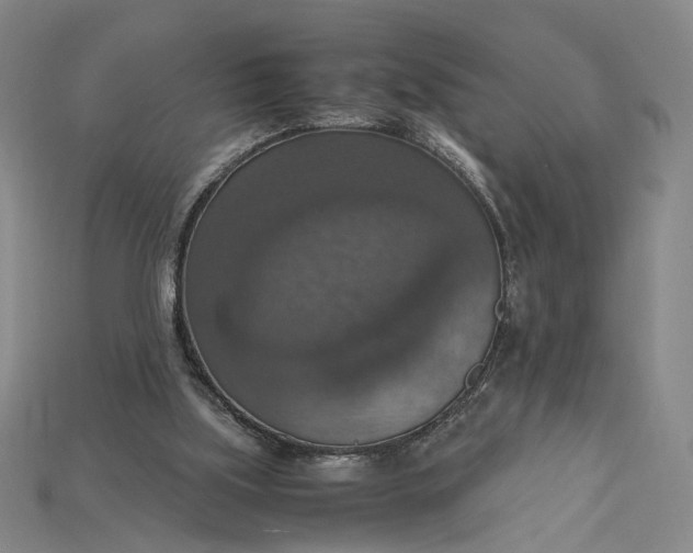 X0000115180059200911121810