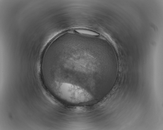 X0000115180060200911121810