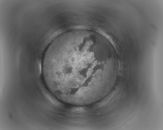 X0000115180061200911121810