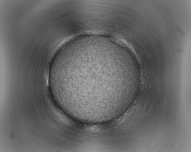 X0000115180062200911121810