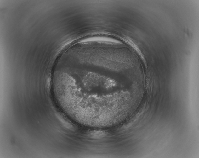 X0000115180063200911121810