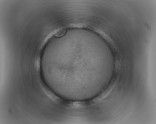 X0000115180064200911121810