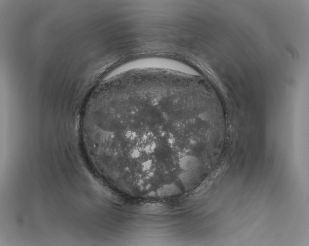 X0000115180066200911121810