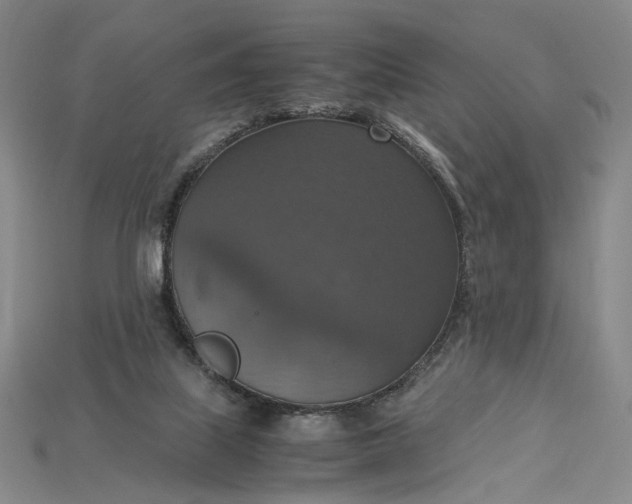 X0000115180067200911121810