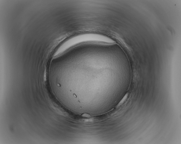 X0000115180068200911121810