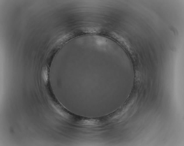 X0000115180069200911121810