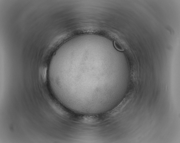X0000115180070200911121810