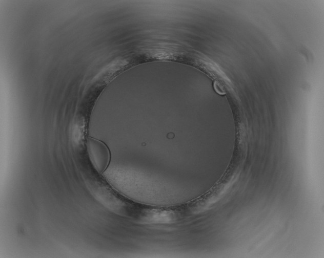 X0000115180073200911121810