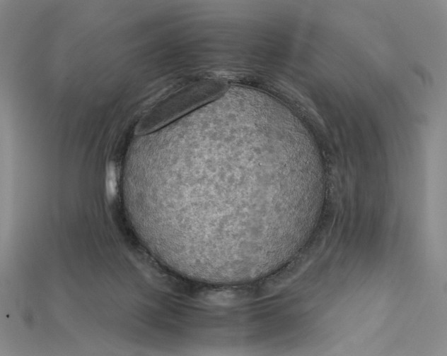 X0000115180075200911121810