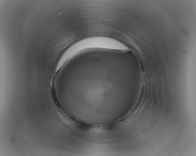 X0000115180076200911121810